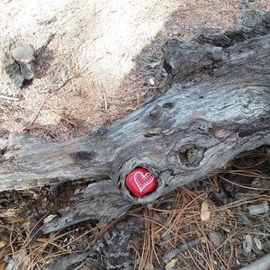 Meet your Posher, Karan